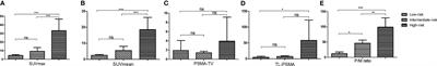 18F-DCFPyL PET/CT in Newly Diagnosed Prostate Cancer: Diagnostic Value of Intraprostatic PSMA Uptake in Risk Classification of Prostate Cancer